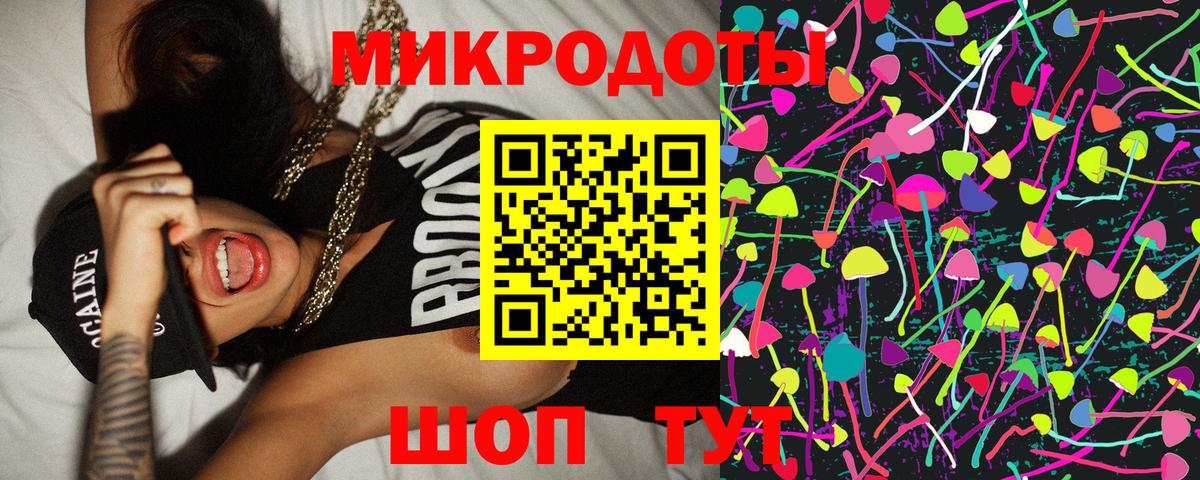 Галлюциногенные грибы Psilocybine cubensis Тара